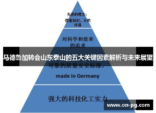 马德鲁加转会山东泰山的五大关键因素解析与未来展望