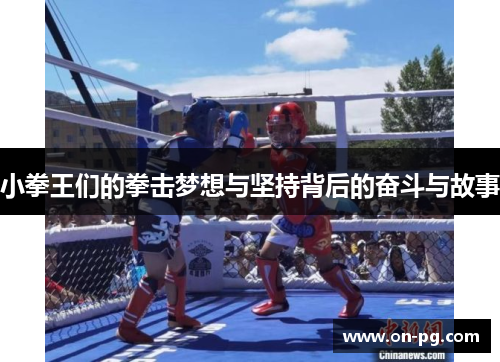 小拳王们的拳击梦想与坚持背后的奋斗与故事