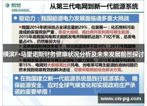 横滨F·马里诺斯财务健康状况分析及未来发展前景探讨
