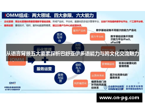 从语言背景五大要素探析巴舒亚伊多语能力与跨文化交流魅力