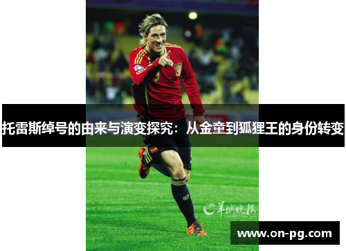 托雷斯绰号的由来与演变探究：从金童到狐狸王的身份转变