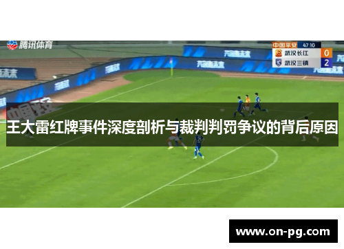 王大雷红牌事件深度剖析与裁判判罚争议的背后原因