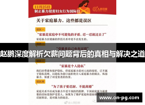 赵鹏深度解析欠薪问题背后的真相与解决之道